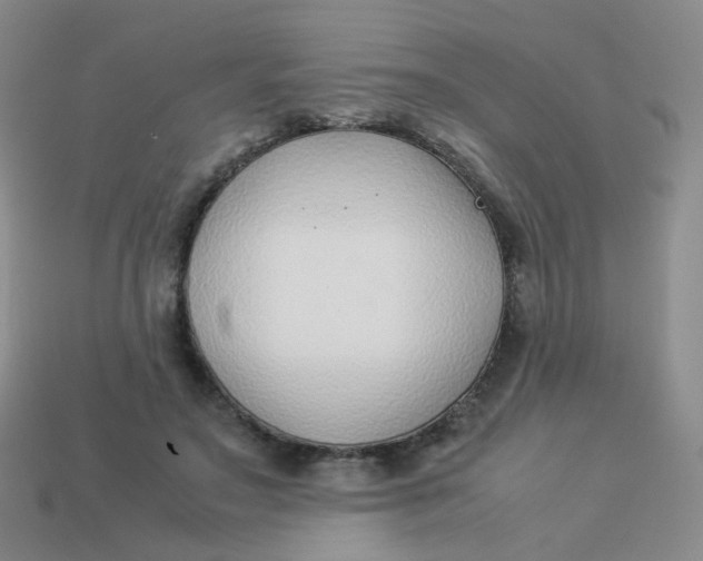 X0000113370499200910131324