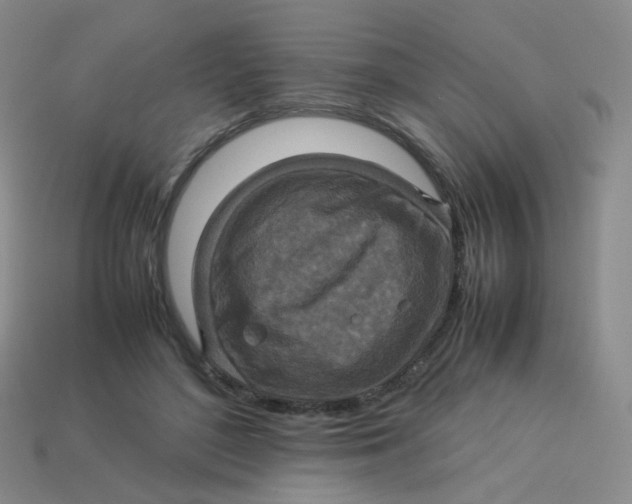 X0000113370500200910131324