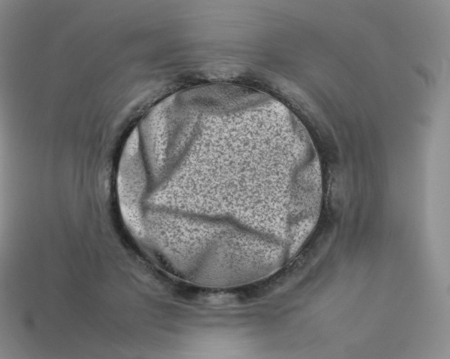 X0000113370501200910131324