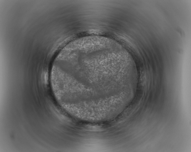 X0000113370502200910131324
