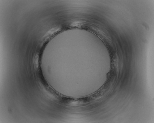 X0000113370504200910131324