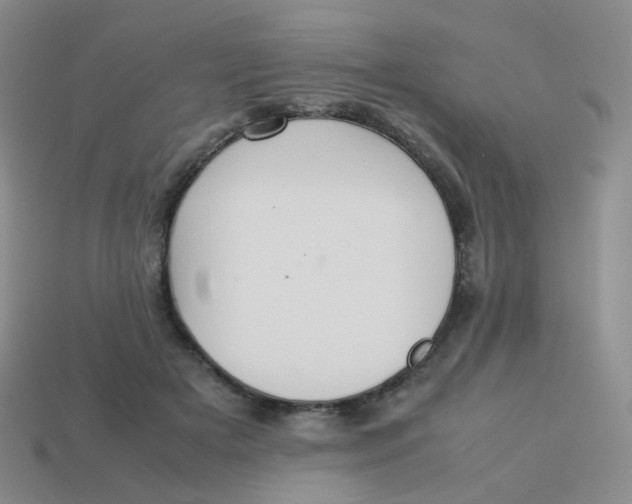 X0000113370505200910131323