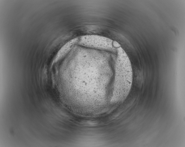 X0000113370506200910131323