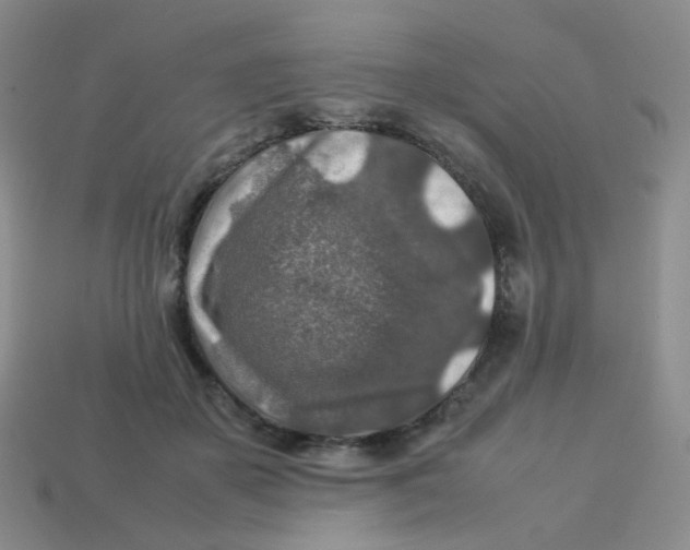 X0000113370507200910131323