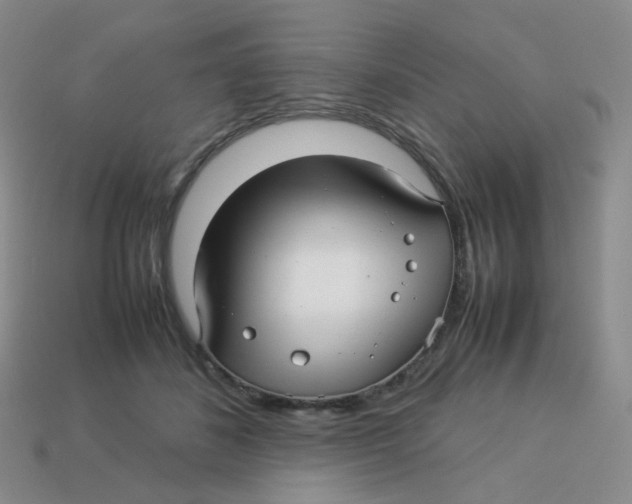 X0000113370508200910131323