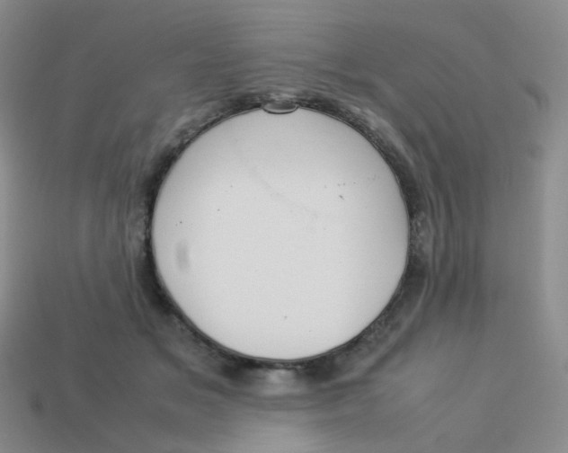 X0000113370509200910131323