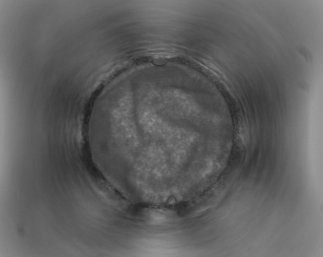 X0000113370512200910131323