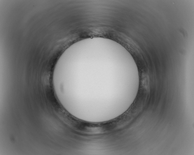 X0000113370514200910131323