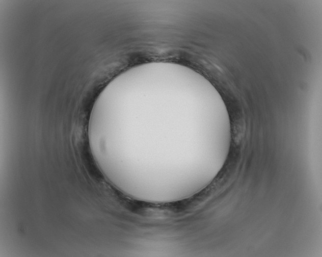 X0000113370515200910131323