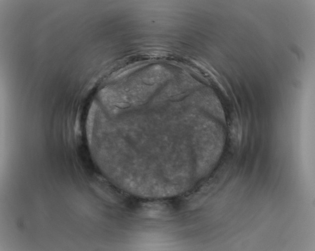 X0000113370516200910131323