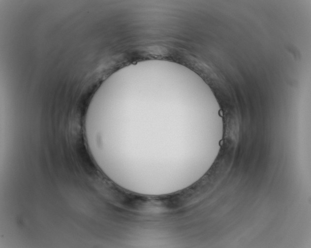 X0000113370518200910131323