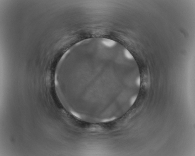 X0000113370519200910131323