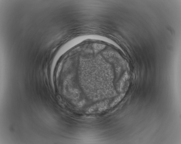 X0000113370520200910131323