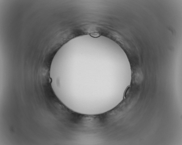 X0000113370521200910131323