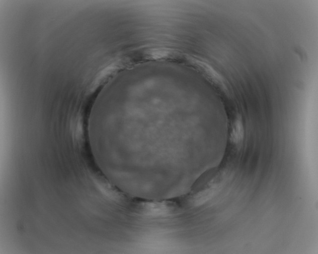 X0000113370524200910131323