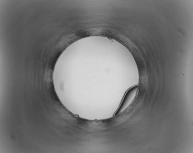 X0000113370525200910131323
