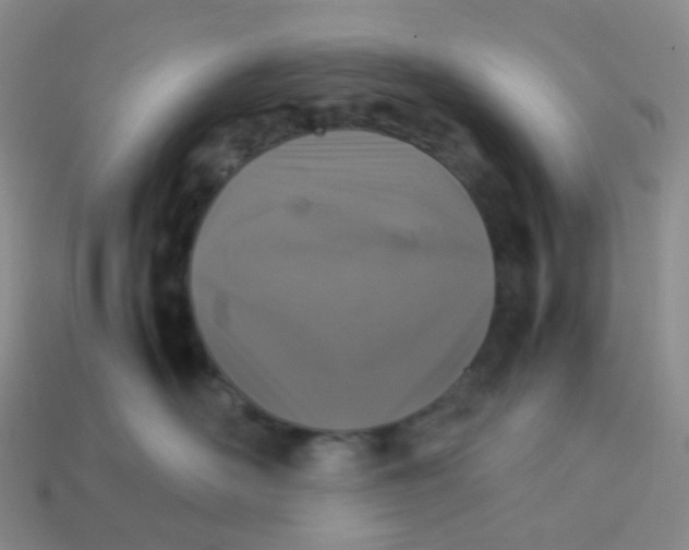 X0000113370526200910131323