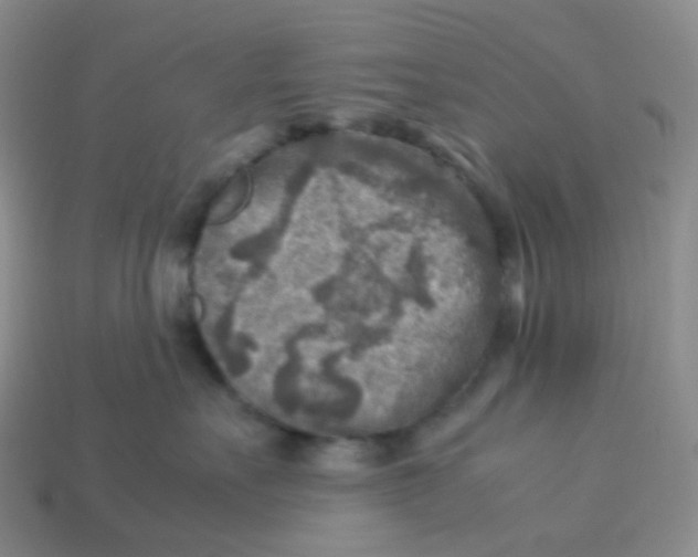 X0000113370527200910131323