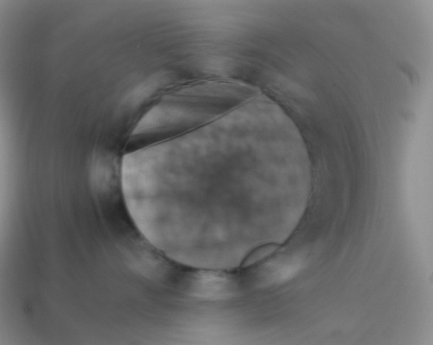 X0000113370528200910131323