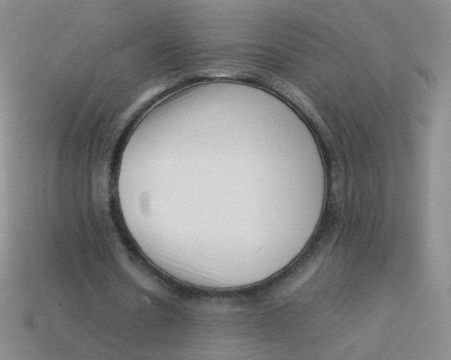 X0000113370530200910131323