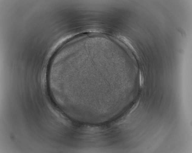 X0000113370531200910131323