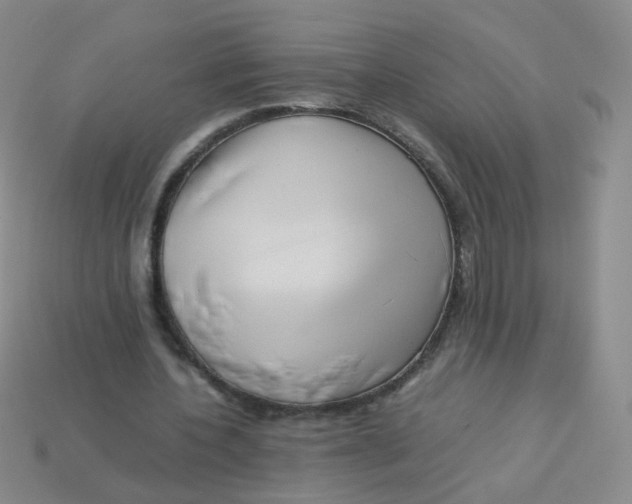 X0000113370532200910131323