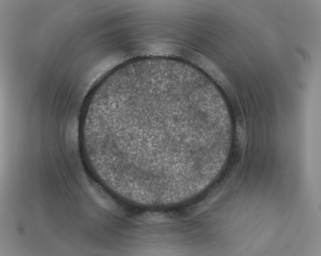 X0000113370534200910131323