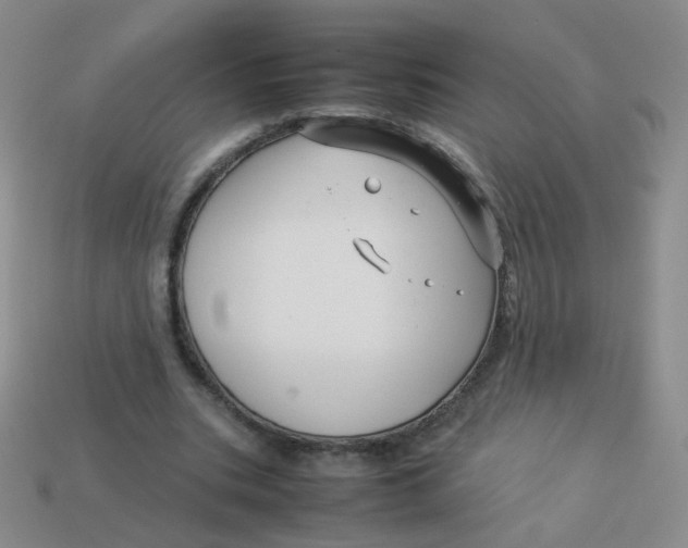 X0000113370535200910131323