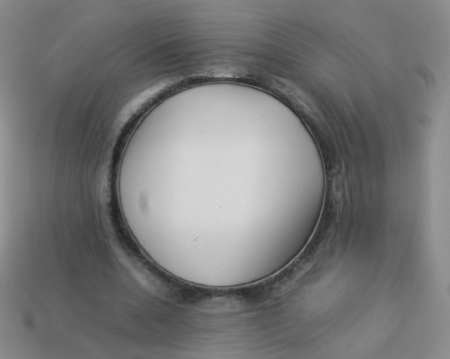X0000113370536200910131323