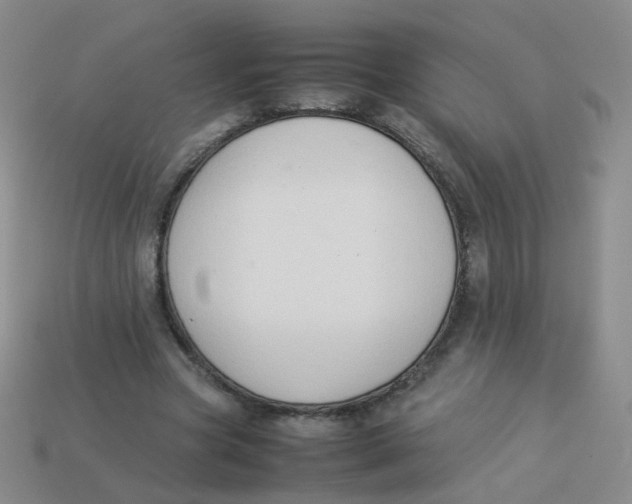 X0000113370537200910131323