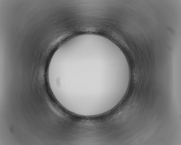 X0000113370538200910131323