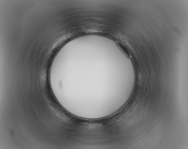 X0000113370539200910131323
