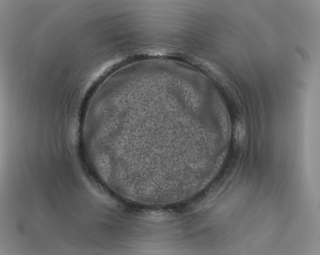 X0000113370540200910131323