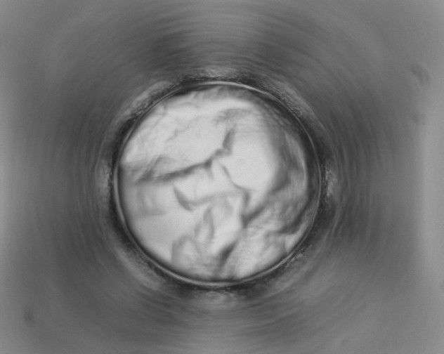 X0000113370542200910131323