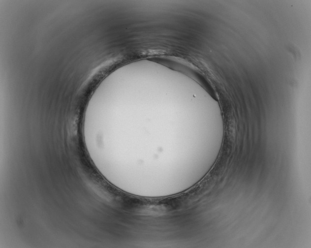 X0000113370543200910131323