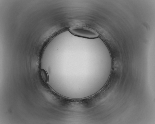 X0000113370544200910131323