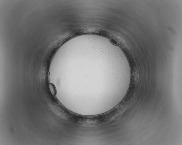 X0000113370546200910131323