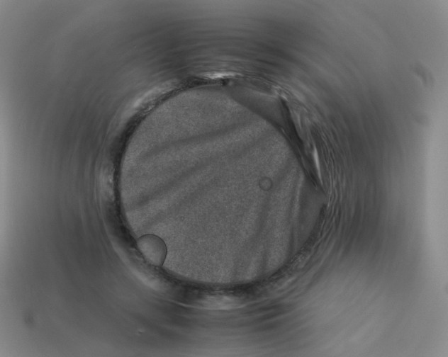 X0000113370547200910131323