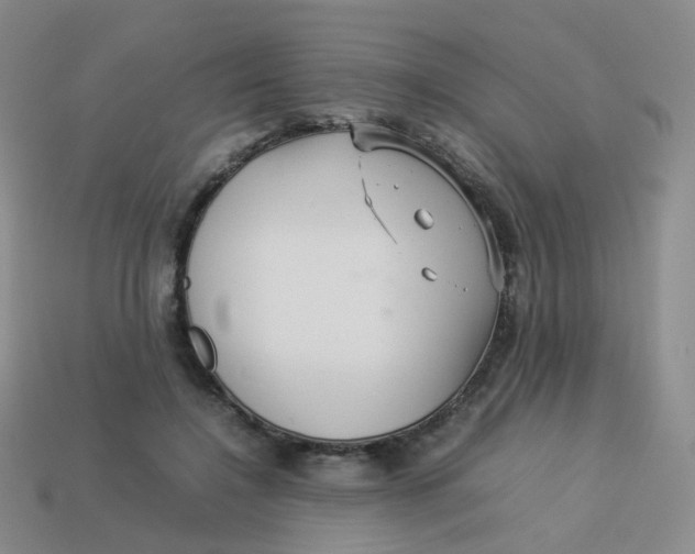 X0000113370548200910131323