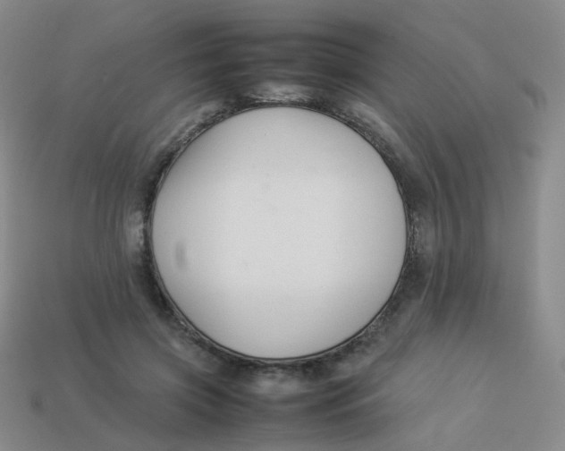 X0000113370549200910131323