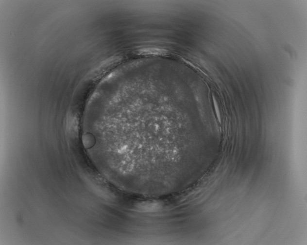 X0000113370551200910131323