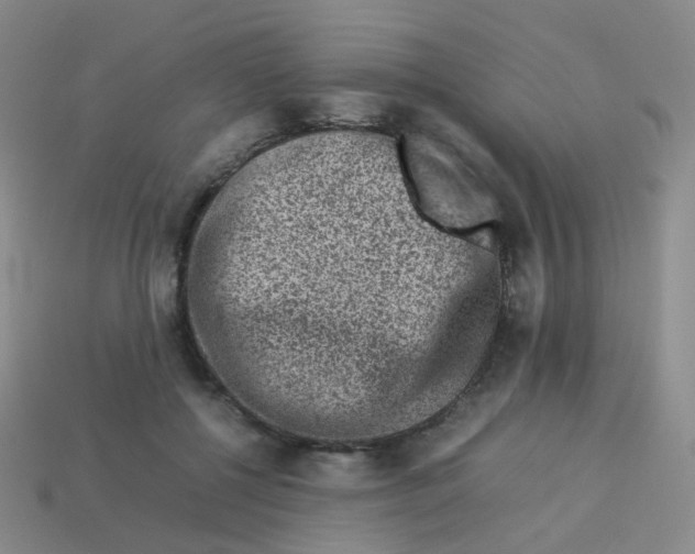 X0000113370552200910131323