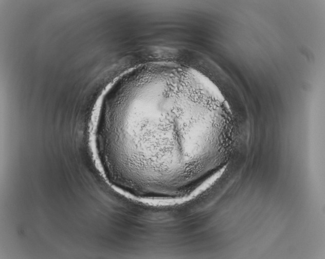 X0000113370553200910131323