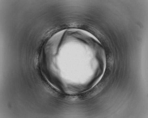 X0000113370554200910131323