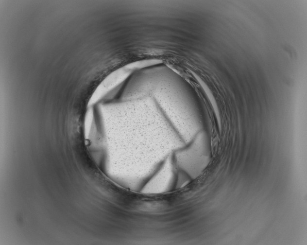 X0000113370555200910131323