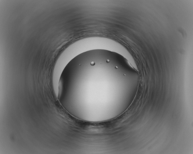 X0000113370556200910131323