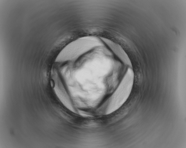 X0000113370558200910131323