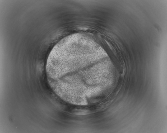 X0000113370559200910131323
