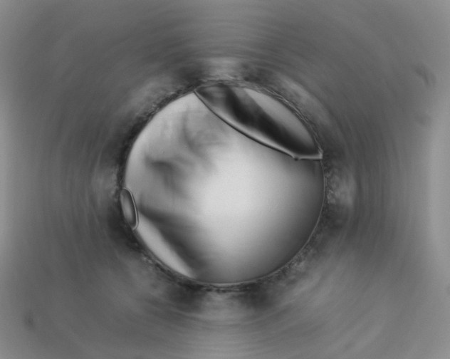 X0000113370560200910131323