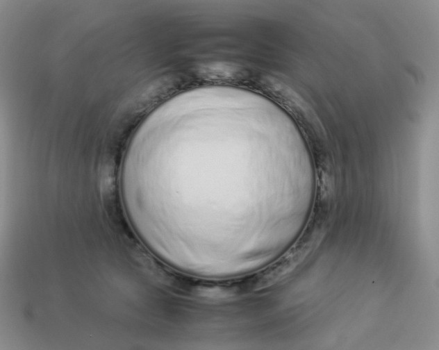 X0000113370561200910131323